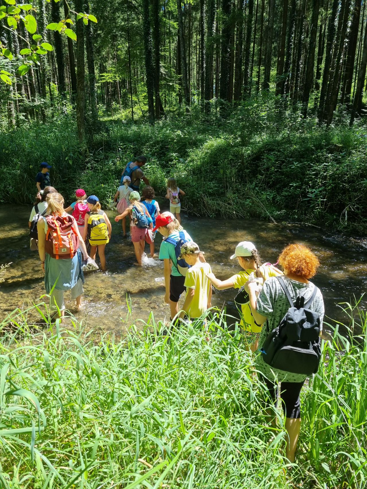 Eine Gruppe Kinder läuft in enem Wald durch einen Bach.