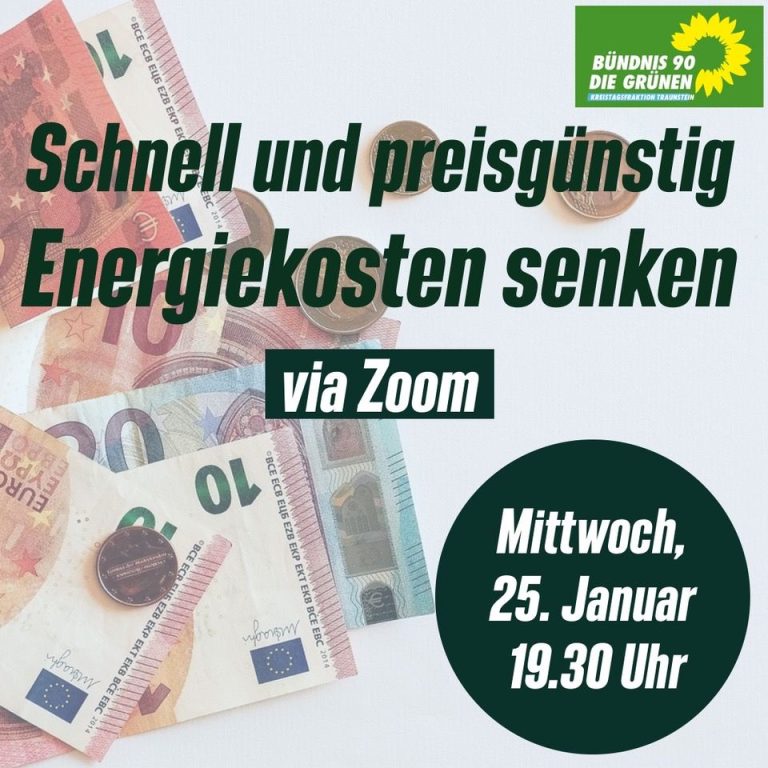 Schnell und preisgünstig Energiekosten senken