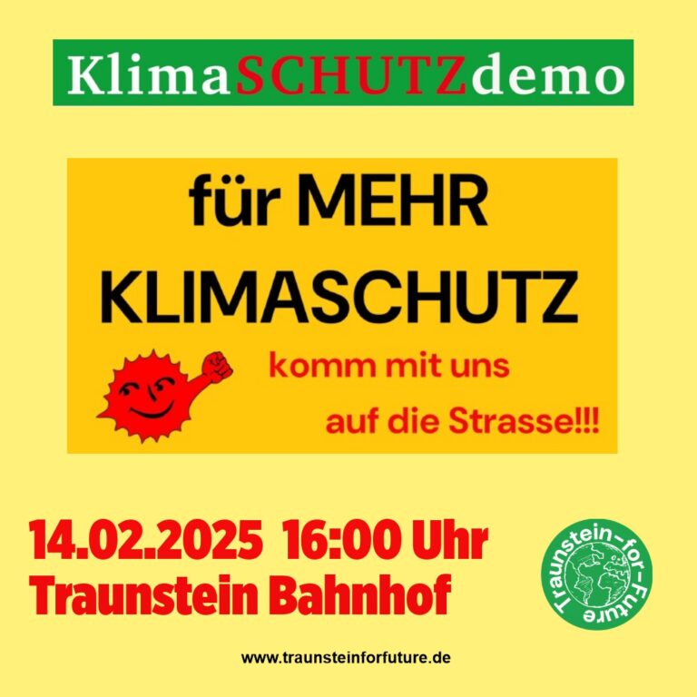 Demo für mehr Klimaschutz