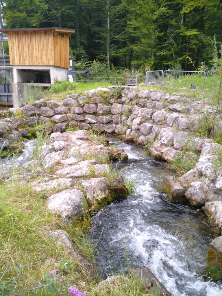 Auf den Spuren Siegsdorfer Gewässer