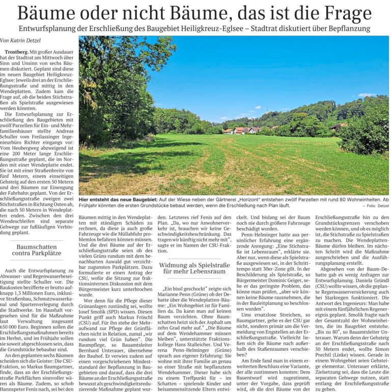 Stadtrat Trostberg diskutiert über Bepflanzung